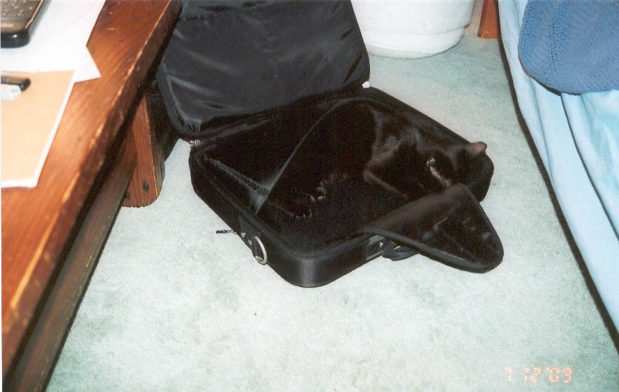 Lucky_07122009_01