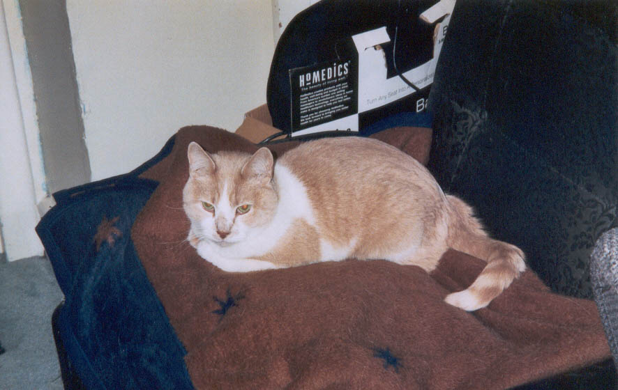 ozzie_chair_march2006
