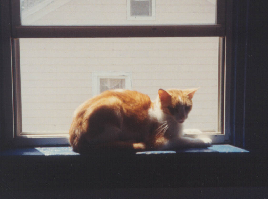 rusty_pgh_apr94_2