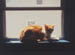 rusty_pgh_apr94_2