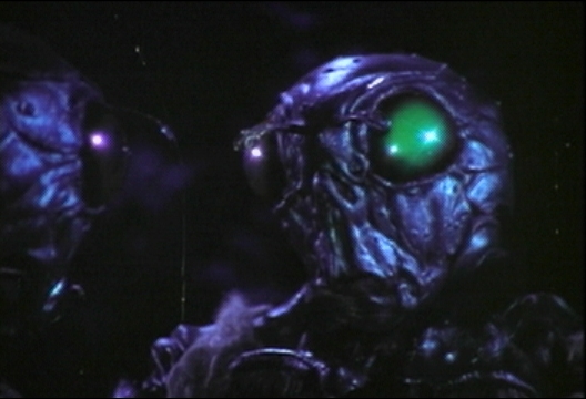 ovions1